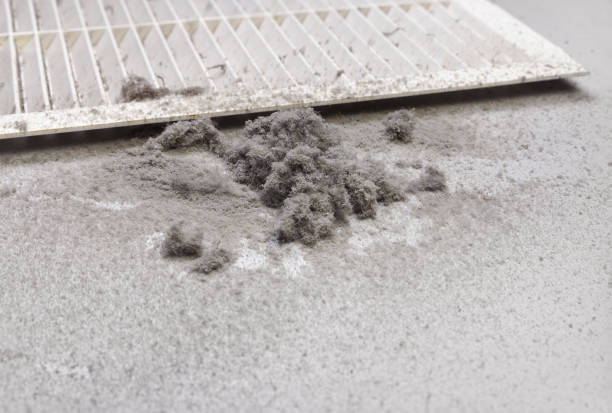 Best Air Duct Sanitizing Services  in Monte Sereno, CA